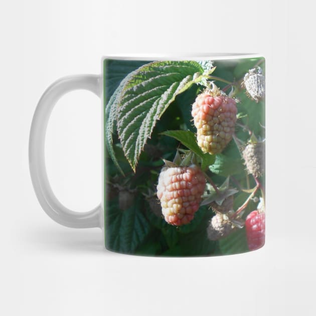 Raspberry Close Up Nature Photography Pacific Northwest by starcraft542